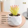 Plantas en Maceta de Suculentas de Diamante Simuladas al por Mayor, Decoración del Hogar, Plantas Suculentas para Oficina, Adornos de Plantas Verdes, En Stock, Entrega Inmediata