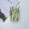 Pacote de Material DIY Feito à Mão Pequeno Buquê Flores Preservadas Flores Secas Decoração de Sala de Estar Ornamento Adereços de Casamento Lembrança para Fotos