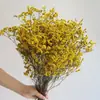 Ramo Eterno de Yunnan Hierba de Cristal Flores Preservadas de Colores Accesorios Florales Decoración del Hogar DIY Flores Secas Accesorios para Fotografía
