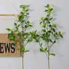 Planta verde artificial folhas de grãos de frutas folhas de lenha de arroz ornamentos de planta verde nórdica decoração de planta artificial planta verde arroz fruta esmeralda atacado
