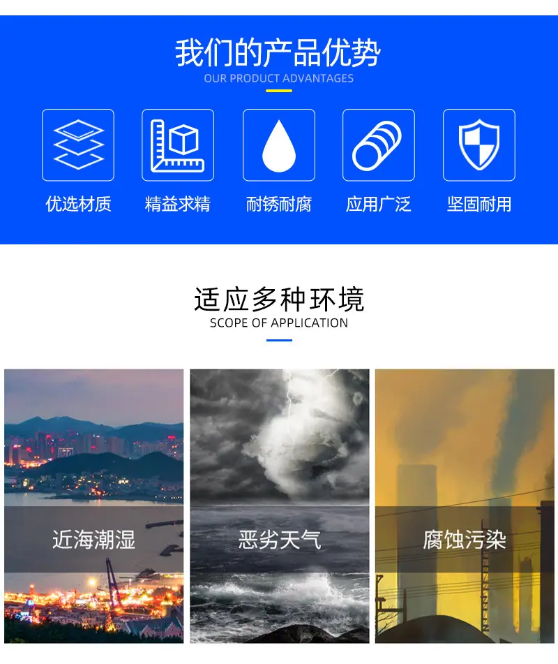 立得美-雄狮凯旋-详情_02.jpg