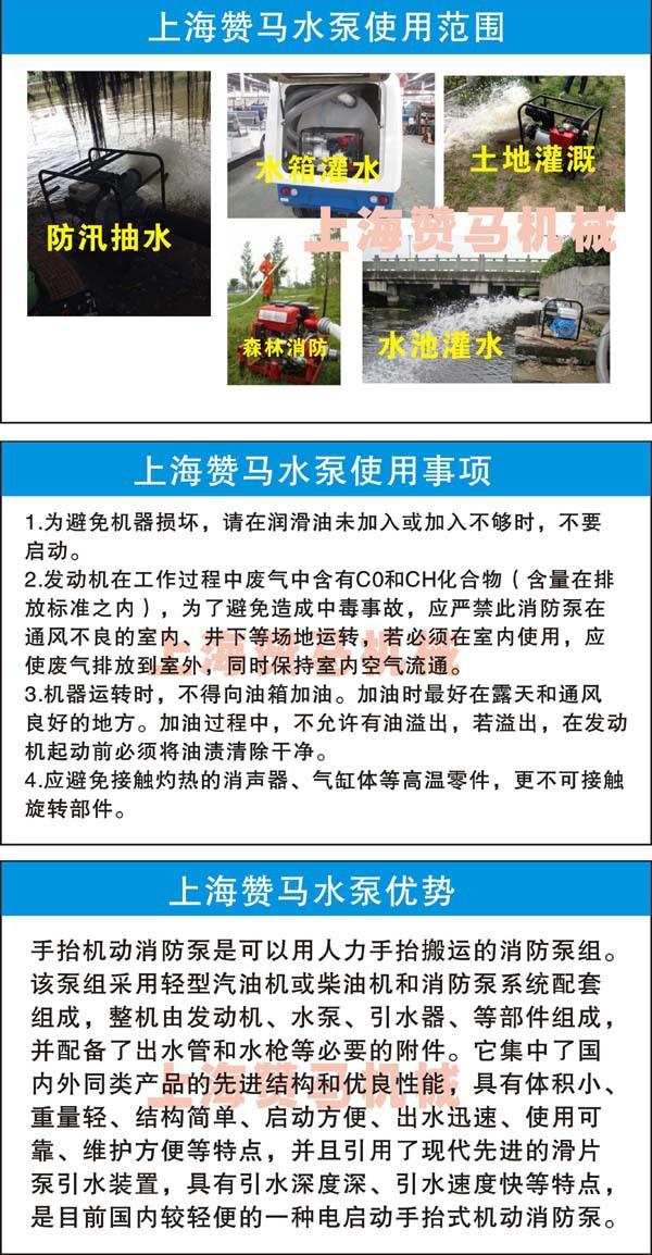 1汽油水泵ZM20A网络4