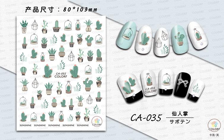 CA-035 仙人掌
