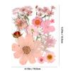 15 Piezas Flor Seca Flor Desconcertada Paquete Combinado de Espécimenes de Plantas Marco de Fotos en Relieve Funda para Teléfono Móvil con Goteo de Gel Decoración Facial para Uñas Transfronterizo