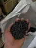 Casa de Bactérias Porosa Mídia Filtrante Material de Filtro para Aquário Coluna de Bactérias Nitrificantes Coluna de Quartzo Anel de Cerâmica de Vidro