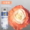 Spray de flores color floral azul hielo ramo flor seca tinte floristería especial color para pintar uno mismo material spray BD