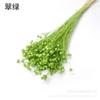 [Flor Eterna Semilla de Acacia] Artesanías de Yunnan Material de Regalo Flor Seca Frijol Rico (Frijol Rico) Frijol Fin