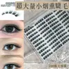 Pestañas postizas transfronterizas ojo ahumado pequeño gran capacidad fresco alta calidad ojos eléctricos suaves exquisita dama noble encantadora y conmovedora