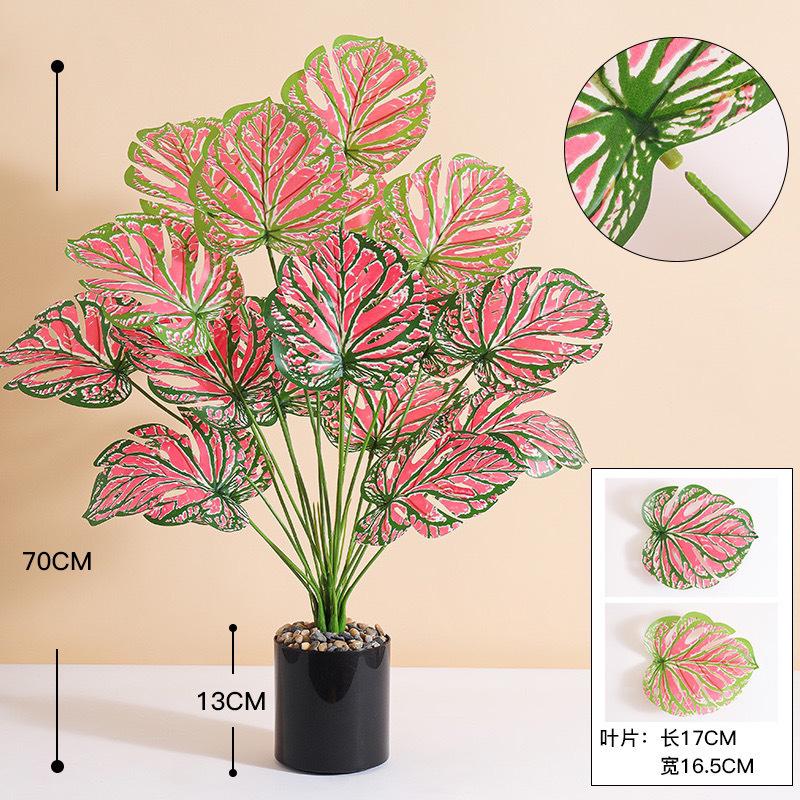 35f83145-6593-4250-b2a6-1bf46f2c2ac8.jpe