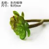 Planta pequeña verde creativa planta de simulación micro paisajismo flor de plástico hierba artificial planta de fondo suculenta material DIY