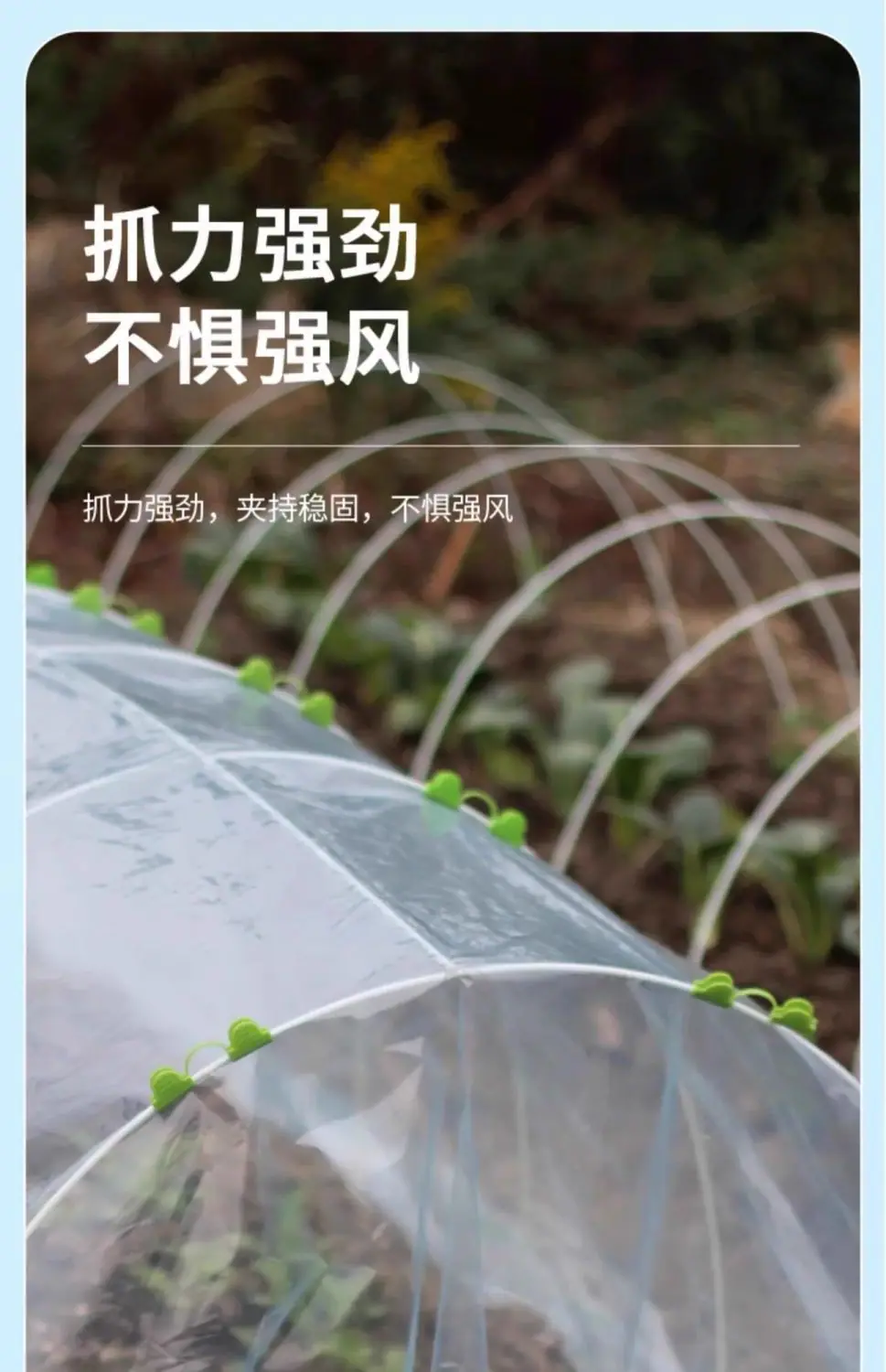 手机端图片4.jpg