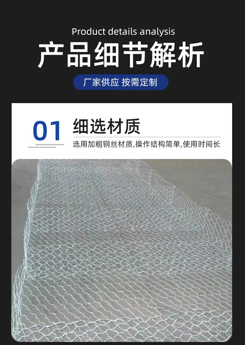 雷诺_10.jpg