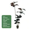 Estilo de Lujo Ligero Planta Verde Simulada Árbol de Caucho Diamante Negro Plantas Falsas Decorativas de Pie para Sala de Estar Balcón Paisajismo