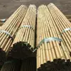 Partición de valla poste de bambú tendedero para ropa poste de baile bambú verde poste para patio interior grosor del poste de bambú decoración de bambú verde andamio pila de bambú bambú
