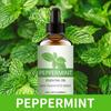 Fragancia Duradera Aromaterapia a Base de Plantas Aceite Esencial Lavanda Árbol de Té Difusor de Fragancia Única Paquete de Recarga de Gran Capacidad