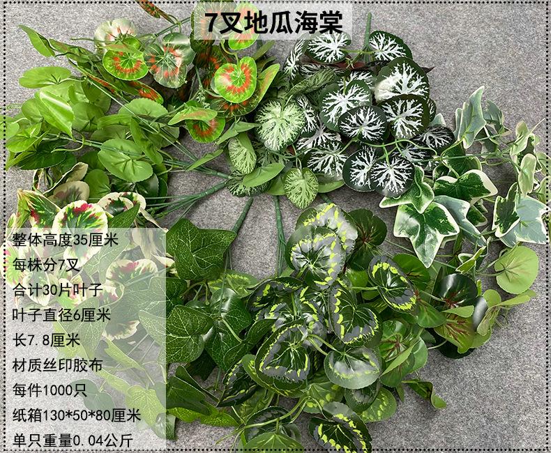 产品信息图-1.jpg