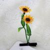 Grampos de Cabelo de Grama Pequenos, Presilhas de Cabelo de Broto de Feijão, Grampos de Cabelo de Flores e Frutas, Acessórios de Uma Yuan, Acessórios de Cabeça de Barraca de Mercado Noturno, Acessórios de Atrações Turísticas