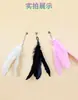 Venta al por mayor del fabricante Ventosa Alambre de acero Pluma Palo para provocar gatos Juguete interactivo para gatos para aliviar el aburrimiento Caña extendida para provocar gatos Suministros para gatos