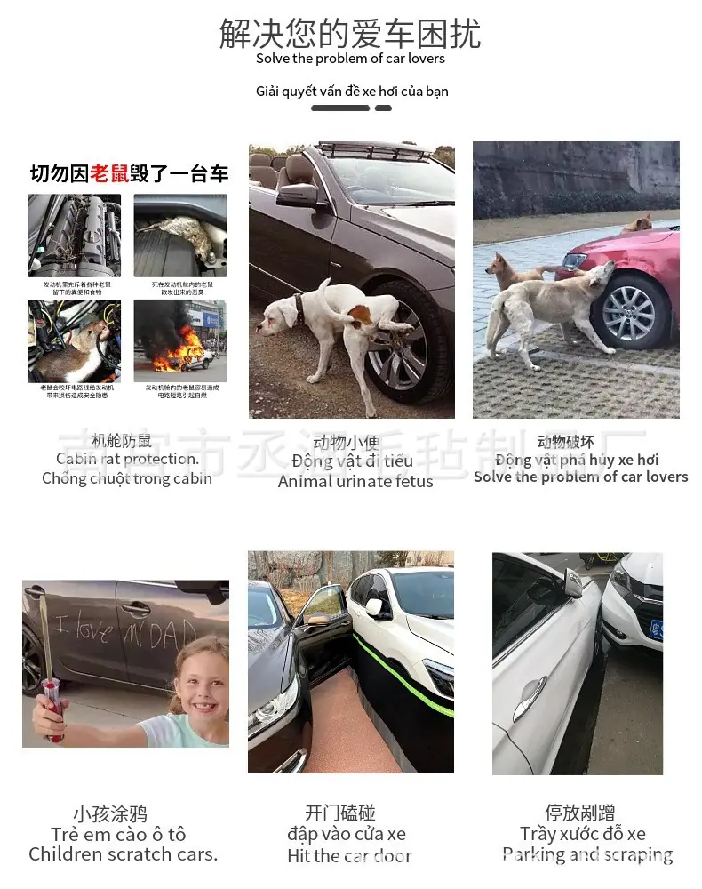 详情4