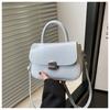 Bolso Cuadrado Pequeño Popular de Este Año para Mujer 2025 Nuevo Bolso Simple de Alta Gama Moda para Viajeros Bolso Bandolera de Hombro Único