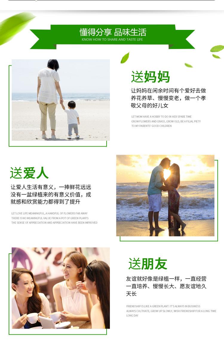 花盆详情_10.jpg
