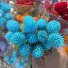 Flor de Morango Vermelha Eterna, Flor Seca Natural, Enfeite Decorativo para Sala de Estar, Presente de Dia dos Namorados Aniversário