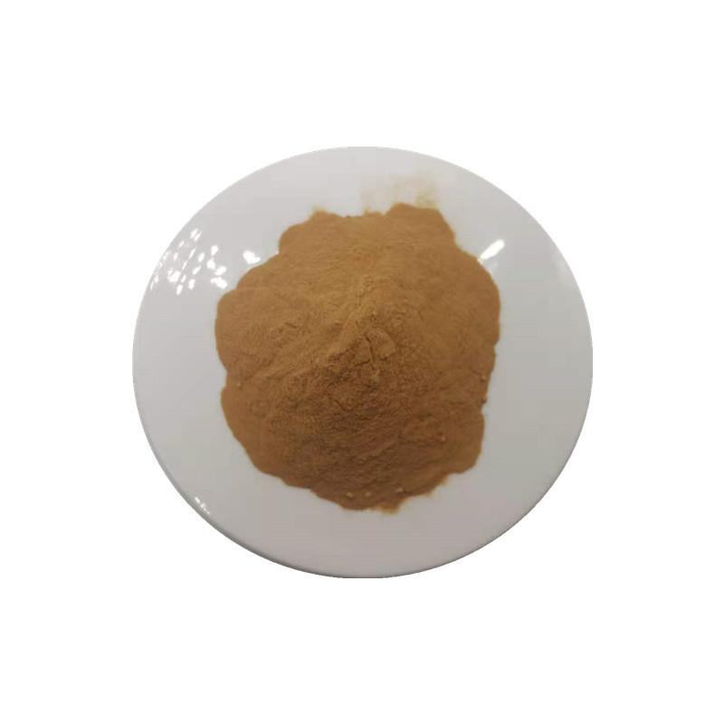 紫锥菊提取物1