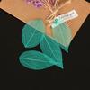 Caja de Regalo de Flor Inmortal DIY con Flores Vena de Diamante Malla Colorida Hojas Hojas de Magnolia Flores Secas
