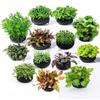 Substrato de Grama Transfronteiriço para Cultivo e Criação de Plantas Aquáticas, Substratos à Base de Carbono Grandes e Pequenos