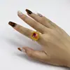 Anillo Popular Transfronterizo Colorido con Purpurina Exquisito Anillo Pequeño de Diamante Moda para Mujer Anillo Versátil Anillo con Marco de Purpurina Fina Lote