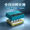 Incubadora totalmente automática, incubadora inteligente de huevos de aves de corral, directo de fábrica, disponible para exportación y comercio transfronterizo