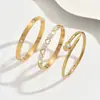 Elegante y Sencillo Popular Europeo y Americano Francés Elegante Ins Moda Corazón Circonita Set de Pulseras Elegante Pulsera de Acero de Titanio