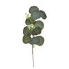 Nuevo Estilo Mori Arreglo Floral de Boda Decoración de Pared de Plantas Accesorios Hojas de Eucalipto Pequeñas Hojas de Eucalipto Individuales con Fruto
