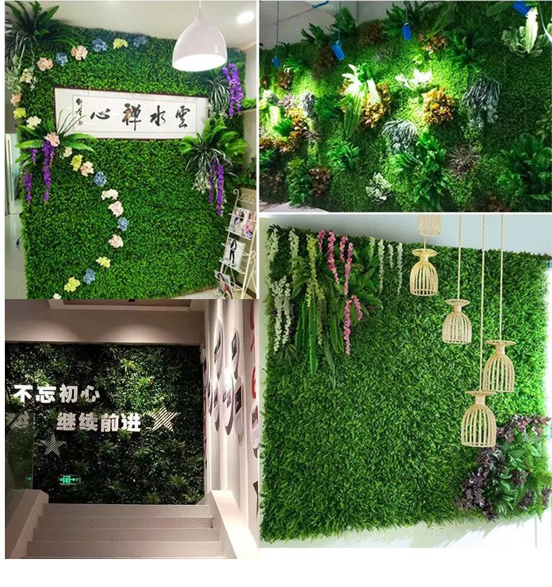 植物墙_05
