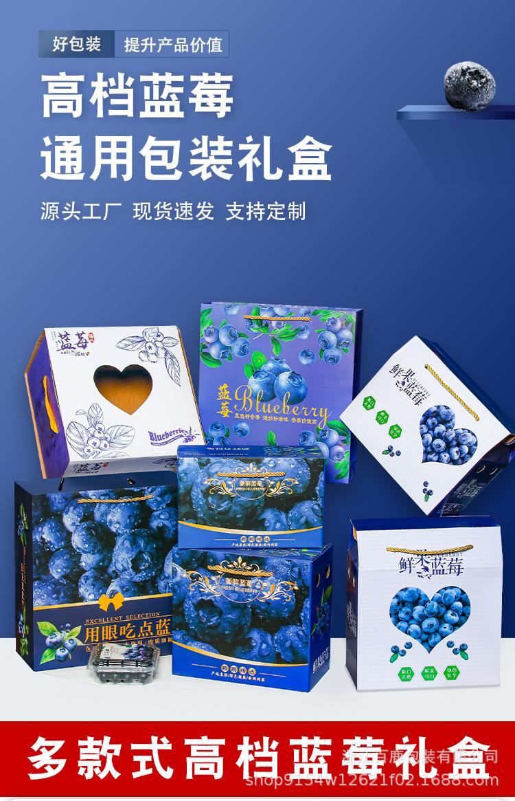 蓝莓总_01.jpg