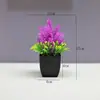 Plantas en Maceta Pequeñas Simuladas Estilo Escandinavo para Sala de Estar en Casa Adornos de Plantas Verdes Bonsái Artificial Simple Moderno Decoración