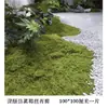 Grama de Musgo, Musgo Artificial, Enfeites para Micro-Paisagismo, Jardinagem de Gramado, Bonsai, Verdejamento de Pavimentação, Fabricante de Paisagismo
