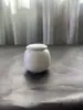 Mini Pote de Cerâmica para Chá, Pote Selado de Pó de Gesso, Pote para Armazenamento de Chá de Flores, Garrafa Pequena de Porcelana, Caixa de Chá Portátil