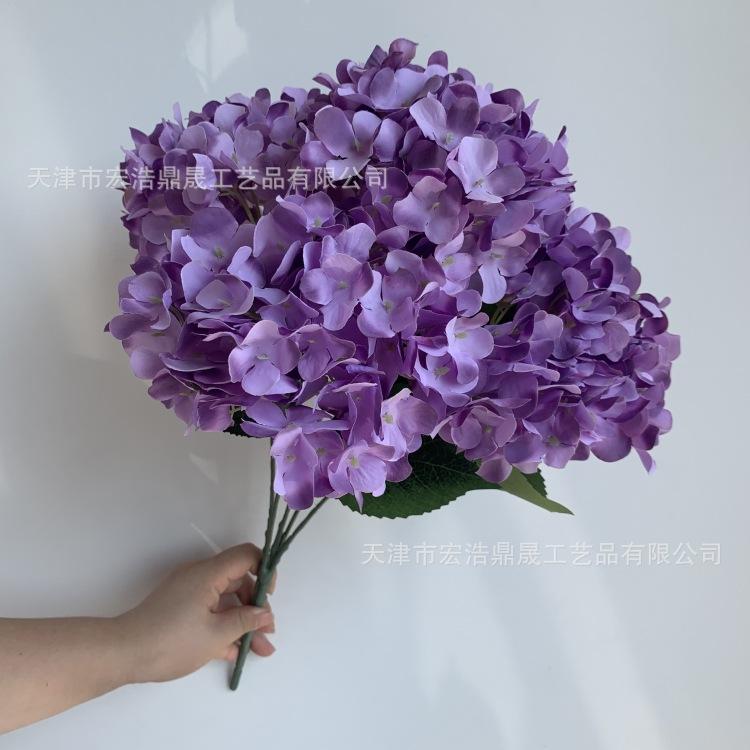 微信图片_20230815151500_副本
