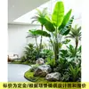 Planta Verde Simulada Paisagismo Corredor Vitrine Decoração Biônica Arranjo Plantas Artificiais Tropicais Paisagismo Interno Árvore de Banana do Viajante Paisagismo
