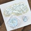 Celebridade da internet novo pó de brocado para nail art ultrafino lantejou glitter caixa de tesouro flash pó gradiente misturado joias para nail art atacado
