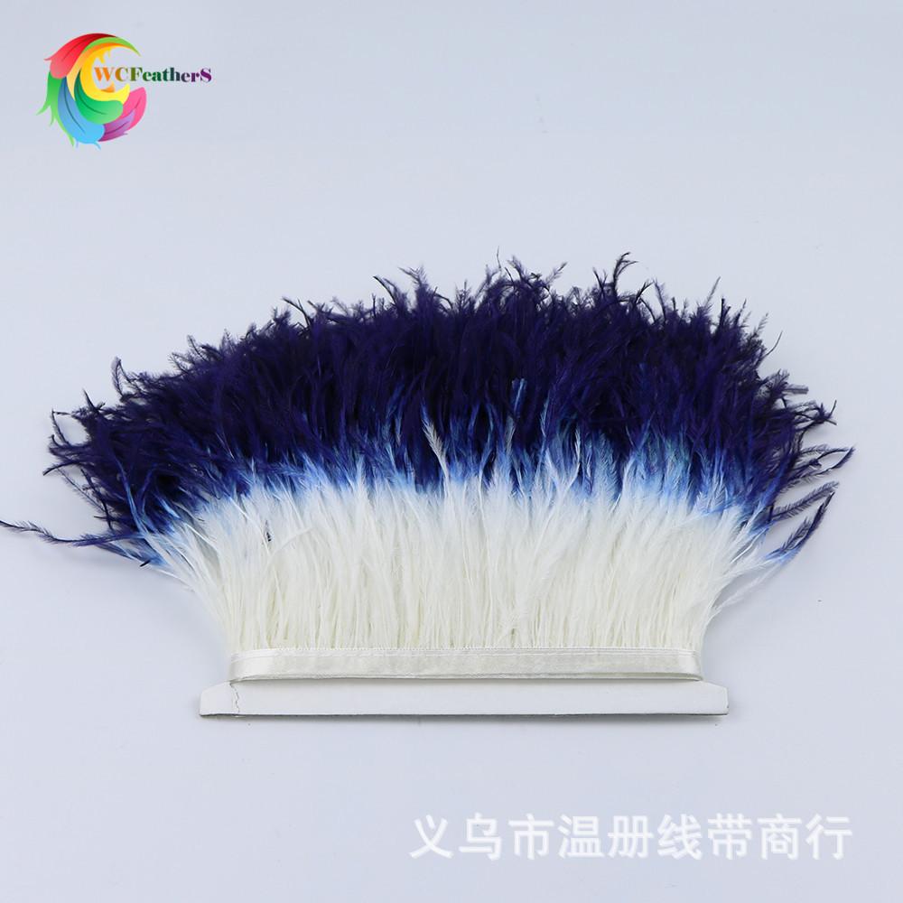 6 white and navy blue ostrich
