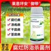 Fungicida Ping'An Yudai para Mudas Fupi Xiaomiao, Podridão do Tronco de Árvores Frutíferas, Podridão, Doença da Goma, Doença de Galhos e Troncos, Remédio Especial