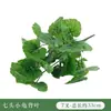 Paisajismo Simulado de Plantas Verdes Transfronterizo, Muro Vegetal de Eucalipto, Decoración de Arreglos Florales, Hojas Pequeñas, Accesorios para Muros Vegetales de Plantas Verdes Artificiales