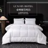 2026 Nuevo Modelo Relleno de Edredón de Hotel, Ropa de Cama de Hotel, Edredón Blanco de Verano, Adecuado para Todas las Estaciones