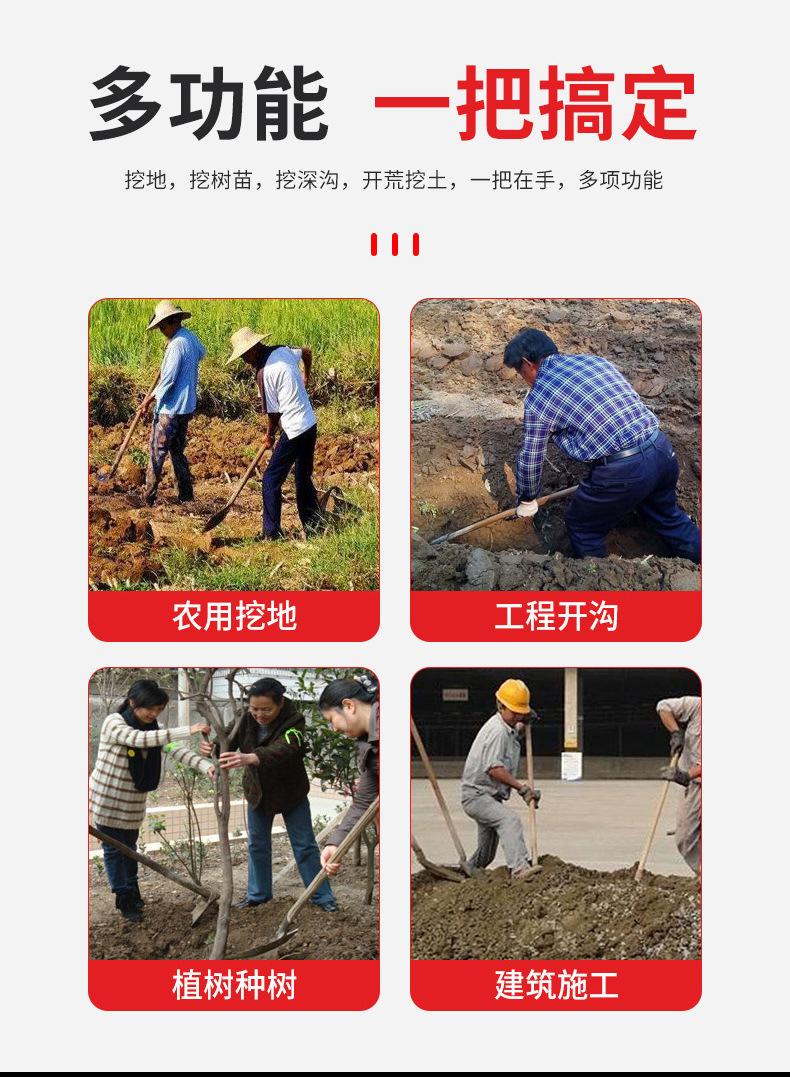 详情_08.jpg
