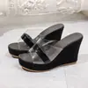 2027 Nuevo Estilo Chanclas de Plataforma con Cuña Transparente para Mujer, para Exteriores, Talla Grande, Chanclas Europeas Americanas de Suela Gruesa, Talla 43