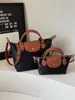 Bolsa de Ombro Único Transversal de Alta Gama Transfronteiriça para Nicho Moda Outono e Inverno 2025 Grande Capacidade Bolsa Dumpling Bolsa Tote