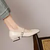 Zapatos Mary Jane Estilo Francés 2026 Zapatos Nuevos de Tacón Bajo con Correas, Mocasines de Nicho para Socialités, Tallas 33-43, Zapatos de Exportación
