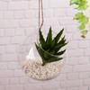Jarrón de vidrio colgante rosa verde planta hidropónica botella de vidrio botella colgante decoraciones de vidrio hechas a mano creativas colgante de pared pecera